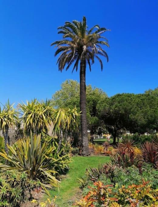 Charmant Studio Renove A Antibes, Plage A 10 Min A Pied Eksteriør bilde